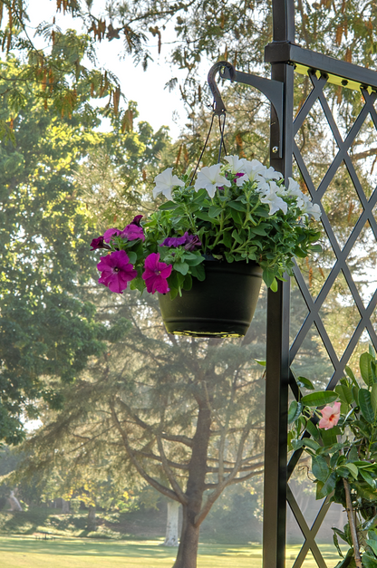 Hanging Basket Bracket