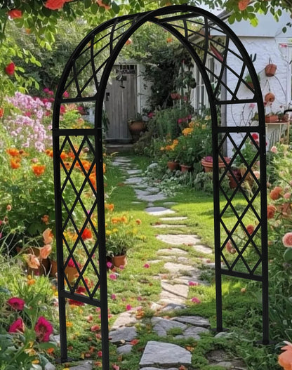 Sunrise - Full Lattice