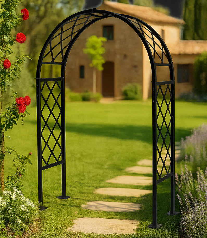 Sunrise - Full Lattice