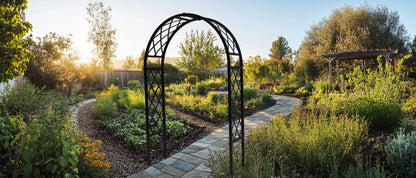 Sunrise - Full Lattice