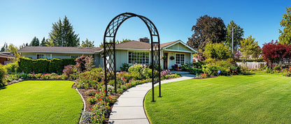 Sunrise - Full Lattice